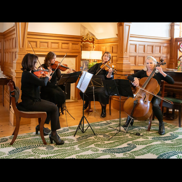 Haydn String Quartet - Quartet, Trio or Duo - Wellington