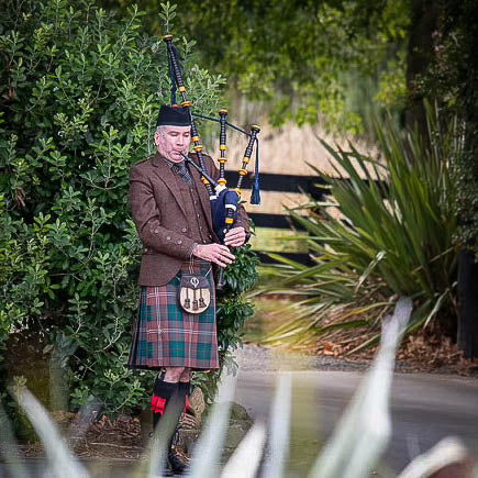 Piper Dave - Piper - Christchurch