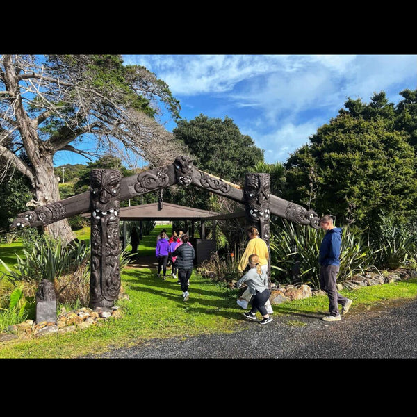 Waiheke Wine Tours - Waiheke Bus Tour - Waiheke Island